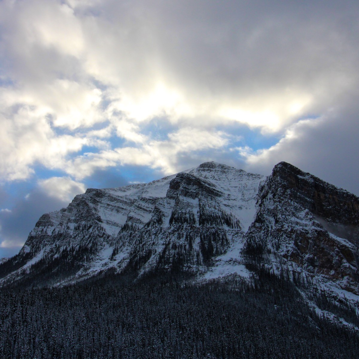 Landscapes in the&nbsp;winter